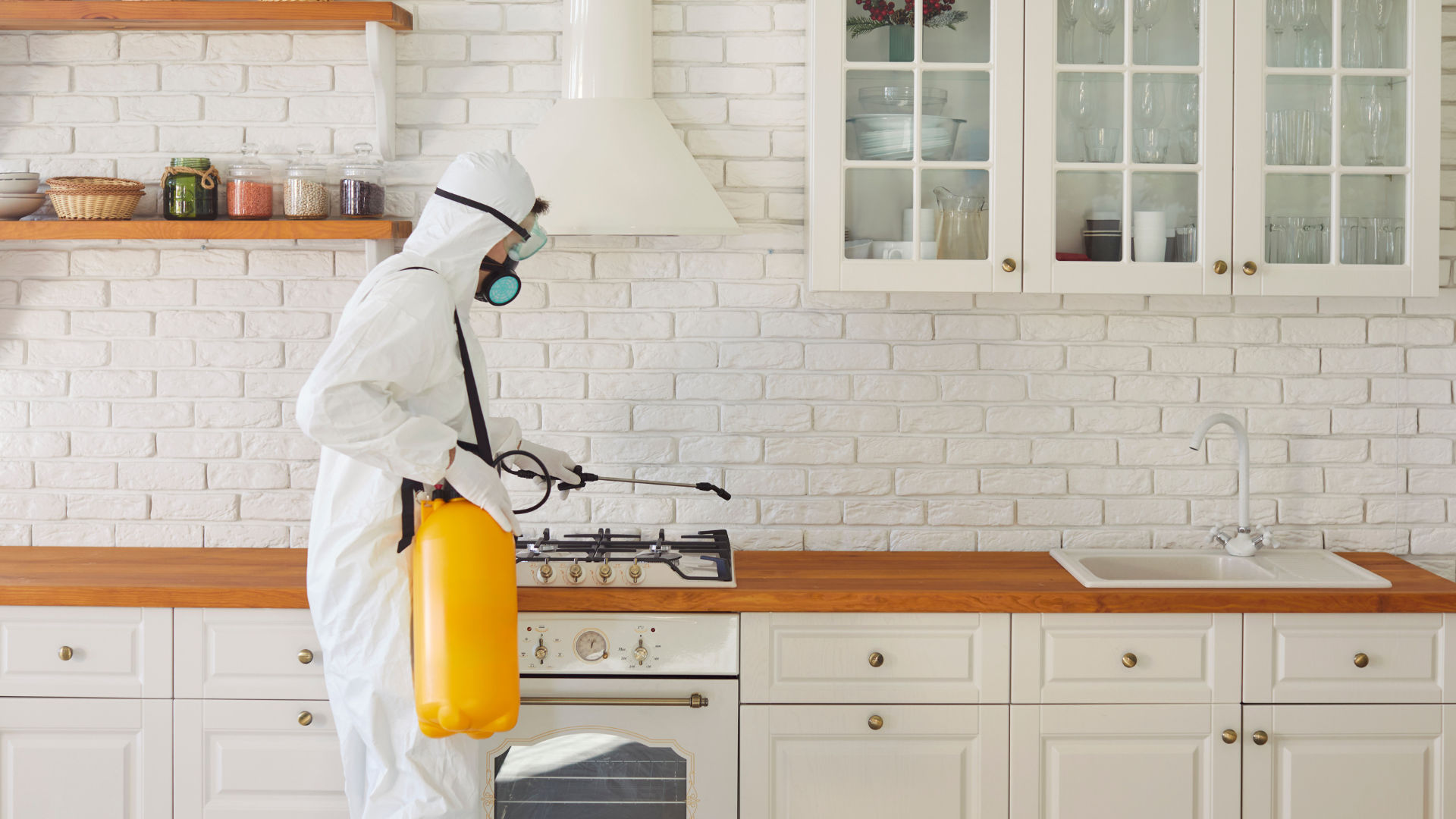 FAQS about Superbug Cleanup Services in Clearmont, MO