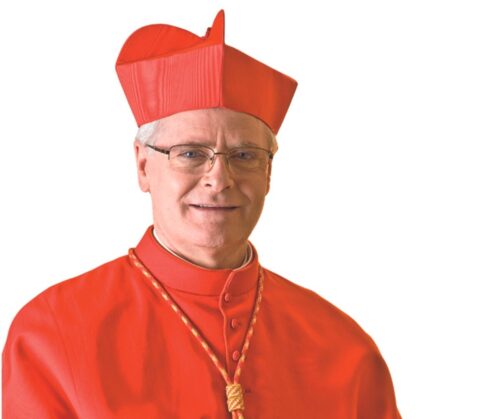 O Papa com os cardeais: por uma Igreja sinodal - Jornal O São Paulo