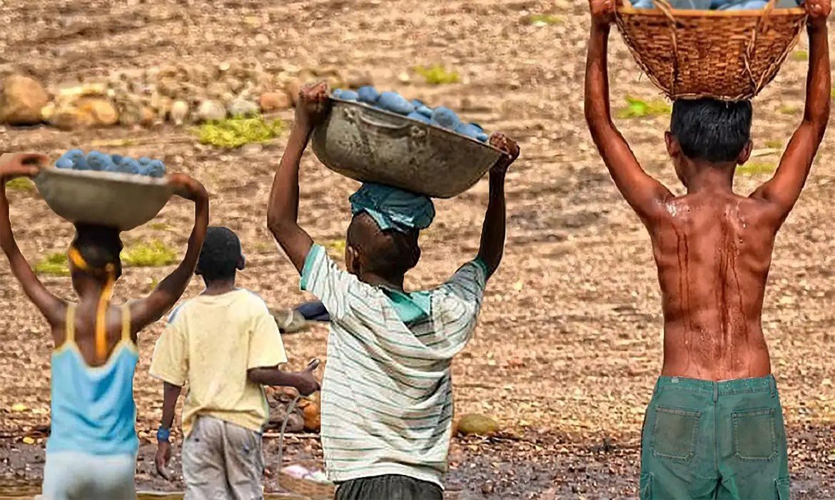 Brasil tem redução recorde na lista Piores Formas de Trabalho Infantil - Jornal O São Paulo