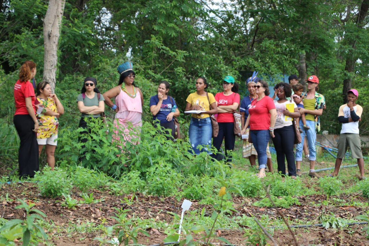 234 projetos de Ecologia Integral são apoiados pela CNBB, beneficiando mais de 900 mil pessoas - Jornal O São Paulo