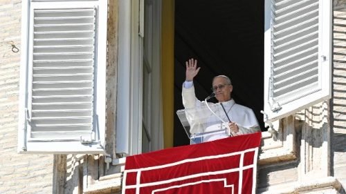 ‘Calem as armas! Cessem os bombardeios!’, apela Leão XIV no 4º ano da guerra na Ucrânia - Jornal O São Paulo