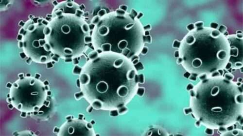 Academia convida à cooperação internacional em tempos de pandemia