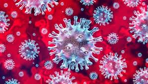 Polarização ideológica em tempos de pandemia