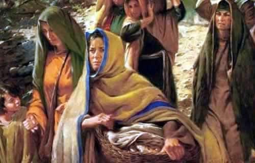 a mulher cananeia