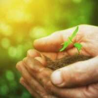 Ecologia integral