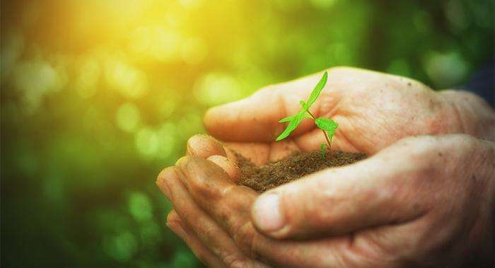 Ecologia integral