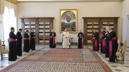 audiencia papa biblioteca
