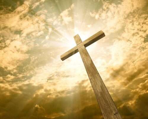 Cruz shutterstock