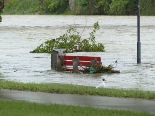 flood gfd