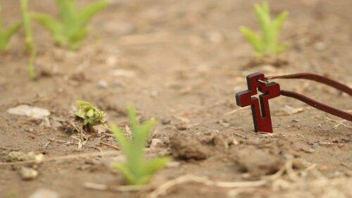 missionarios fides