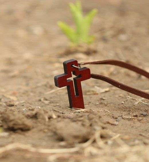 missionarios fides