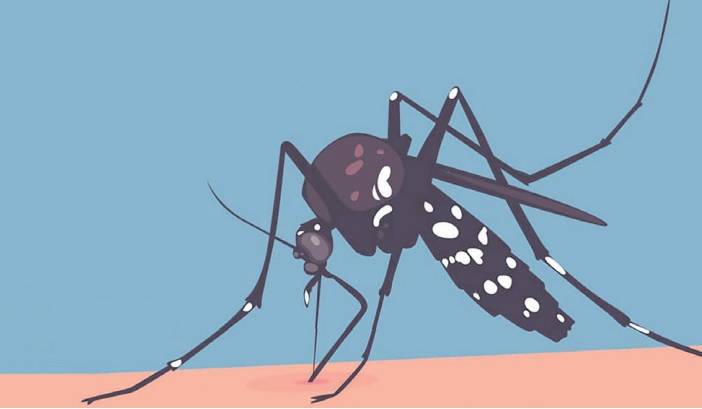 dengue