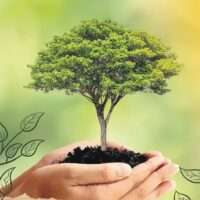 Post Quadrado Colagem Dia Mundial Do Meio Ambiente  – 1