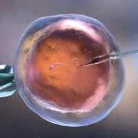 fertilizacao-in-vitro