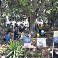 19 Conversao Ecologica Esforcos coletivos credito Luciney Martins