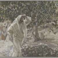 Brooklyn_Museum_-_The_Accursed_Fig_Tree_(Le_figuier_maudit)_-_James_Tissot