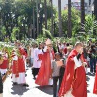 domingo de ramos 01