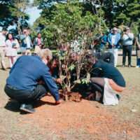 Plantio arvore Laudato si CNBB2