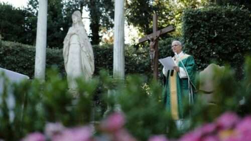 Papa: rezemos pela conversão de quem ignora o cuidado com a casa comum