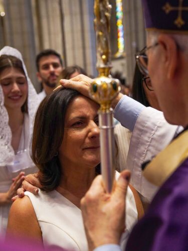 Em missa na Catedral da Sé, 357 adultos da Paróquia Nossa Senhora do Brasil recebem o sacramento da Crisma