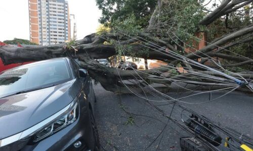 Cinco dias após ciclone, 30 mil clientes estão sem energia em SP