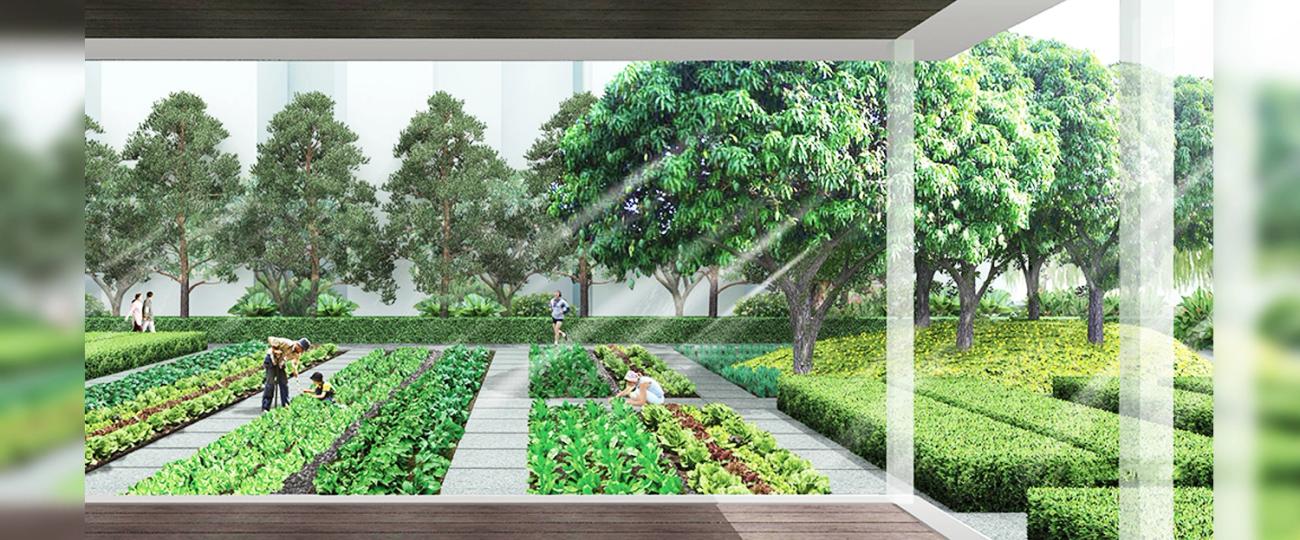 Outdoor Space Lodha Marquise