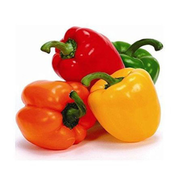 Image for undefined