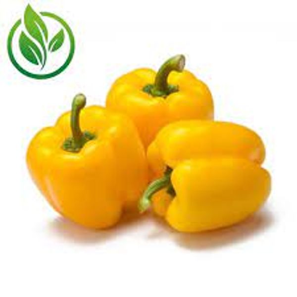 Image for undefined