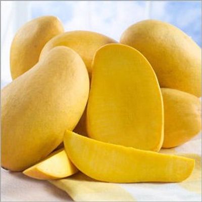 MANGO SINDHRI - PAKISTAN