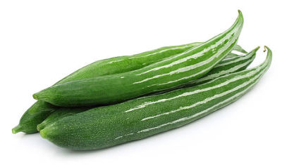 SNAKE GOURD (PADAVAL)