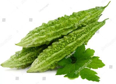 BITTER GOURD