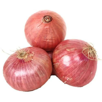 ONION - INDIA