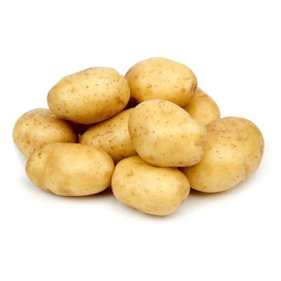 POTATO - EGYPT