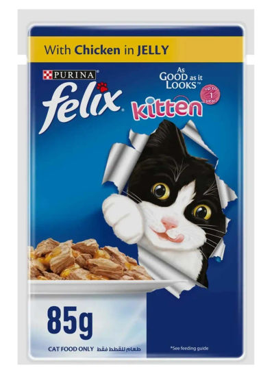 FELIXADL SALMON GIJ2(12X85G) XA
