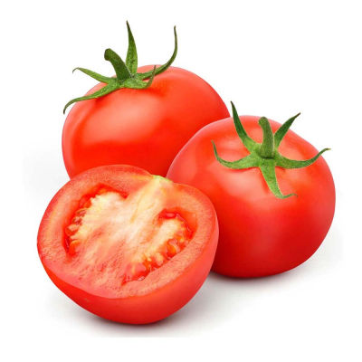 TOMATO GREEN HOUSE