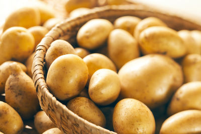 POTATO - BANGLADESH