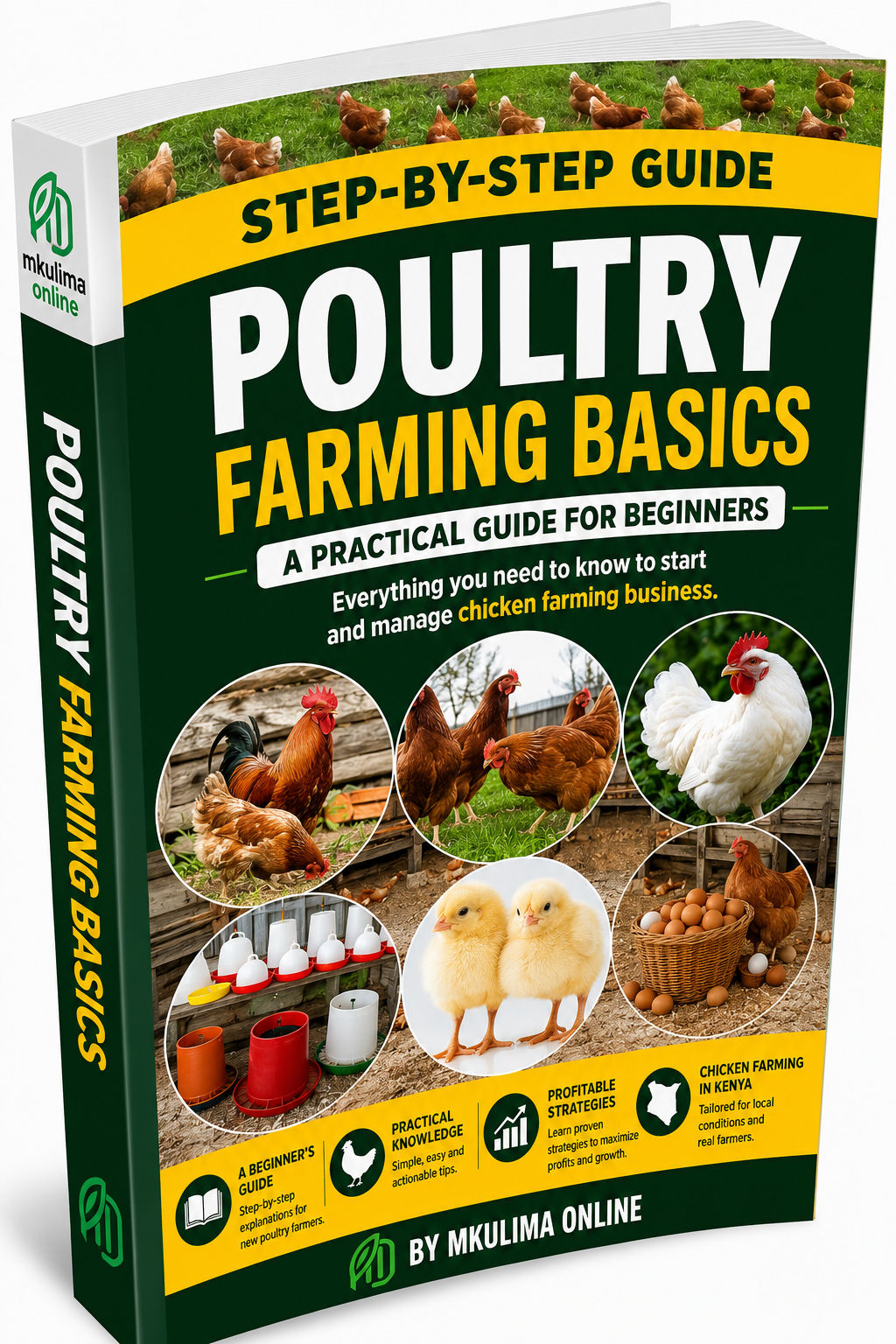 Poultry Farming Basics - A Beginner’s Guide to Profitable Chicken Farming in Kenya