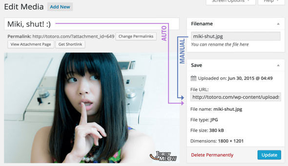Media File Renamer Pro v5.1.9