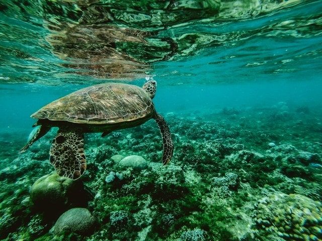 Queensland Queensland