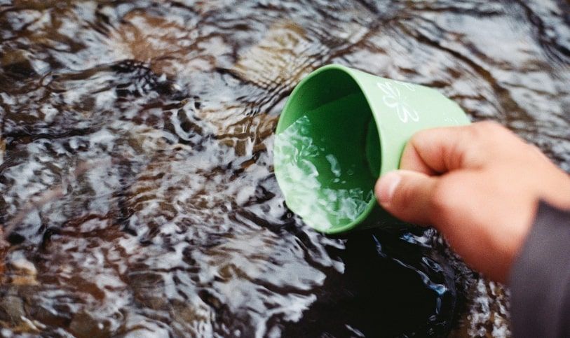 Drinking water from stream