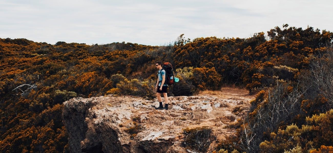 Hiker on cliff