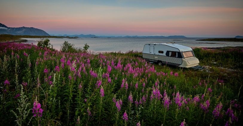 Caravan in field of flowers