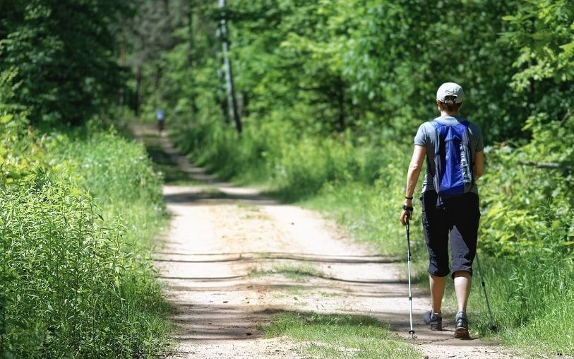 Trekking poles