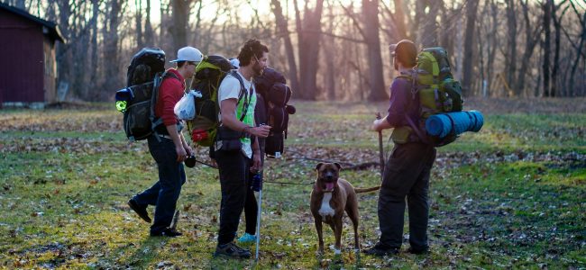 Hiking PLBs