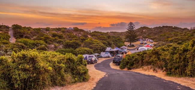 Best Instant Tents