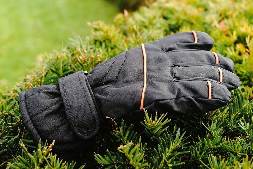 gloves gloves