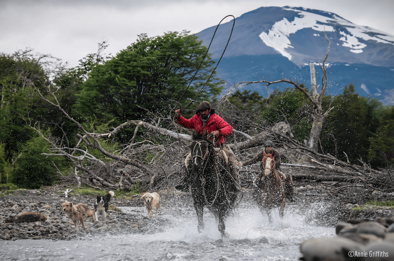 Cowboy running along a stream, taken with Panasonic S1R