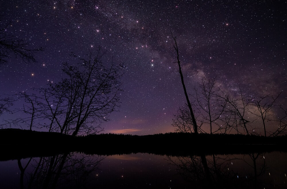 Silhouette of trees with the milky way in the background