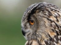 March 2022 Photo Competition