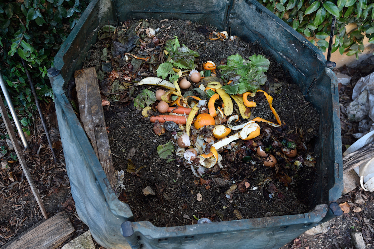 Qu'est-ce que le compost ?